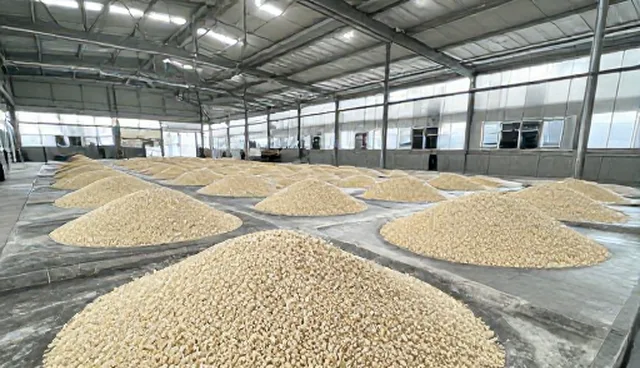 供应链管理中预拌馅料的检查要点与常见问题处理