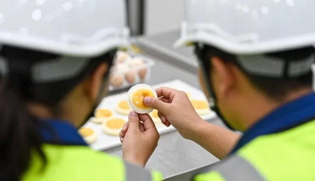 渠道供货中的食材供应选择需关注哪些实际问题